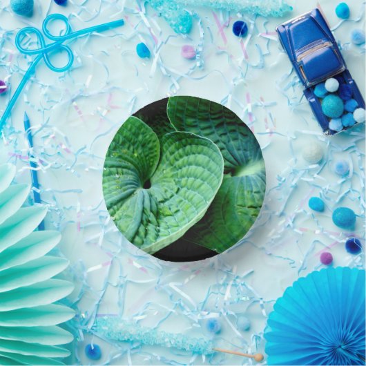 Hosta Heart Papieren Kommen (Feest)