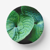 Hosta Heart Papieren Kommen (Voorkant)