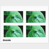 Hosta Heart Rechthoekige Sticker (Vel)