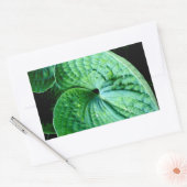 Hosta Heart Rechthoekige Sticker (Envelop)