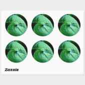 Hosta Heart Ronde Sticker (Vel)