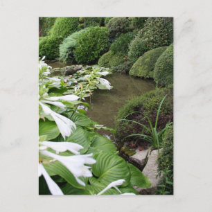 Hosta in a Zen Garden 1 Postcard Briefkaart
