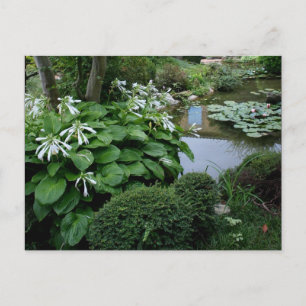 Hosta in een Briefkaart van Zen Garden 3