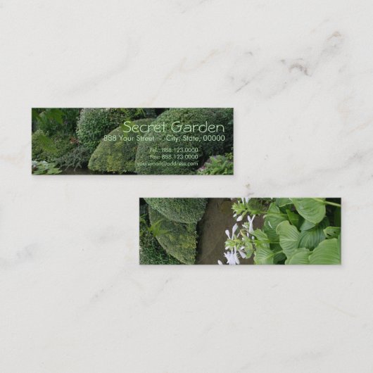 Hosta in een Zen Garden 1 Mini Visitekaartje (Voorkant / Achterkant)