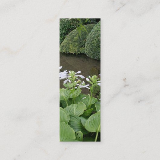 Hosta in een Zen Garden 1 Mini Visitekaartje (Achterkant)