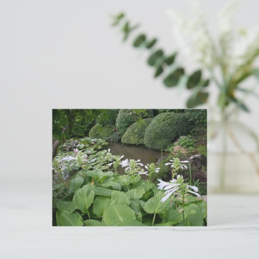 Hosta in een Zen Garden 2 Briefkaart (Staand voorkant)