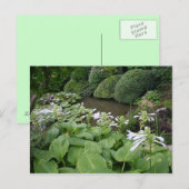 Hosta in een Zen Garden 2 Briefkaart (Voorkant / Achterkant)