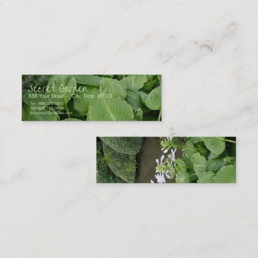 Hosta in een Zen Garden 2 Mini Visitekaartje (Voorkant / Achterkant)