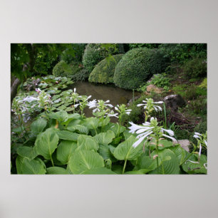 Hosta in een Zen Garden 2 Poster