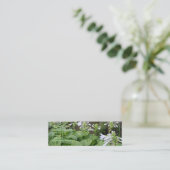 Hosta in een Zen Garden 3 Mini-Visitekaartje Mini Visitekaartje (Staand voorkant)