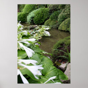 Hosta in een Zen Garden Poster