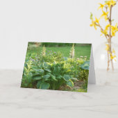 Hosta Kaart (Gele Bloem)