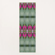 Hosta La Vista To 13