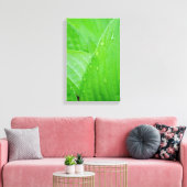 Hosta laat waterdruppels vallen canvas afdruk (Insitu (Woonkamer))