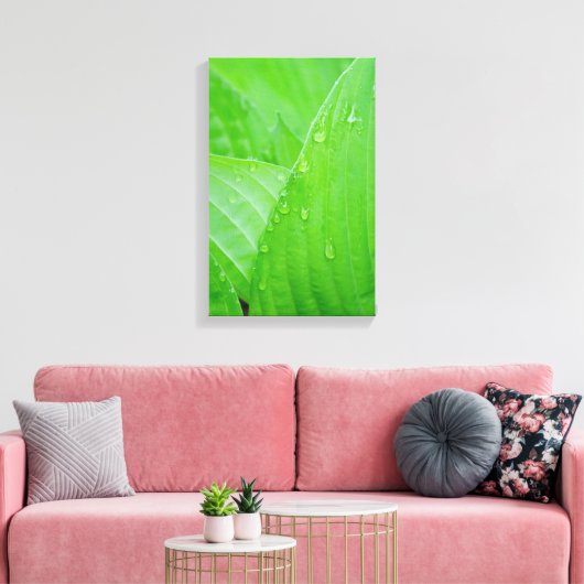 Hosta laat waterdruppels vallen canvas afdruk (Insitu (Woonkamer))