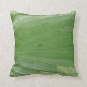hosta leaf , bijna stevige groene kussen