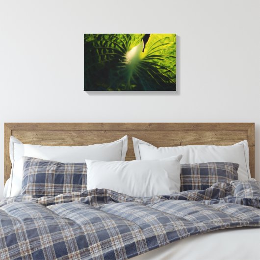 Hosta Leaf op Black Canvas Afdruk (Insitu (Slaapkamer))