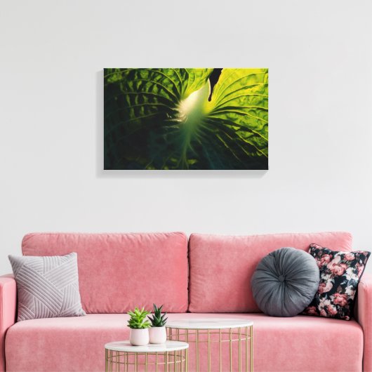 Hosta Leaf op Black Canvas Afdruk (Insitu (Woonkamer))