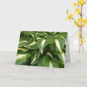 Hosta Leaves Kaart (Gele Bloem)