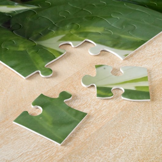 Hosta Leaves Legpuzzel (Zijkant)