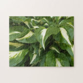 Hosta Leaves Legpuzzel (Horizontaal)