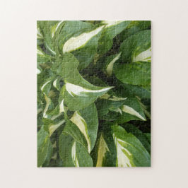 Hosta Leaves Legpuzzel