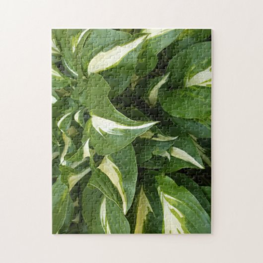 Hosta Leaves Legpuzzel (Verticaal)