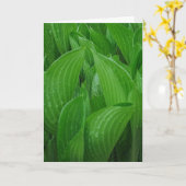 Hosta Leaves met Raindrops Birthday-kaart Kaart (Gele Bloem)