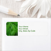 Hosta Leaves met Raindrops-labels voor retouradres Etiket (Insitu)