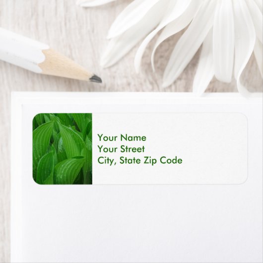 Hosta Leaves met Raindrops-labels voor retouradres Etiket (Insitu)