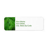 Hosta Leaves met Raindrops-labels voor retouradres Etiket (Voorkant)