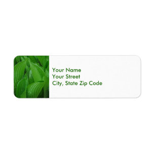 Hosta Leaves met Raindrops-labels voor retouradres Etiket