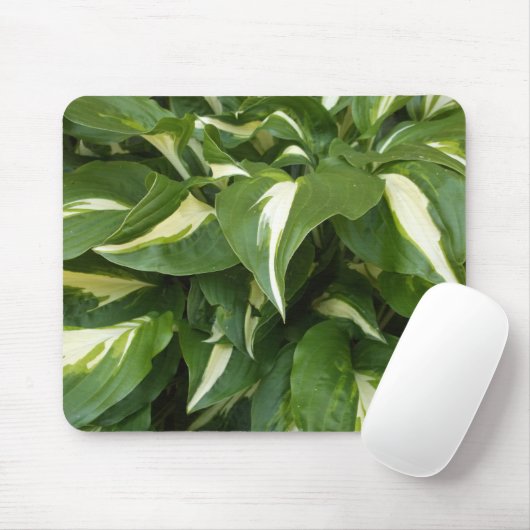 Hosta Leaves Muismat (Met muis)