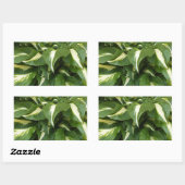 Hosta Leaves Rechthoekige Sticker (Vel)