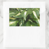 Hosta Leaves Rechthoekige Sticker (Tas)