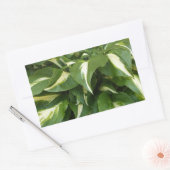 Hosta Leaves Rechthoekige Sticker (Envelop)