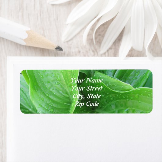 Hosta Leaves Return Address Labels (Insitu)