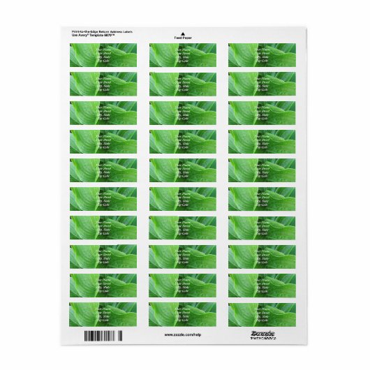Hosta Leaves Return Address Labels (Full Sheet)