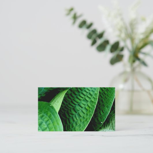 Hosta Leaves Visitekaartje (Staand voorkant)