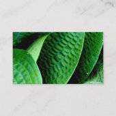 Hosta Leaves Visitekaartje (Voorkant)