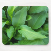 Hosta Mousepad Muismat (Voorkant)