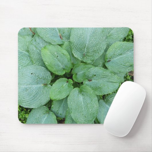 Hosta Mousepad Muismat (Met muis)