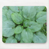 Hosta Mousepad Muismat (Voorkant)