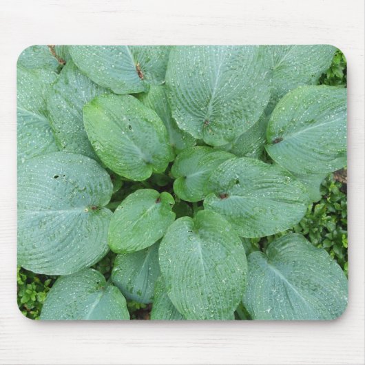 Hosta Mousepad Muismat (Voorkant)