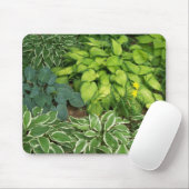 Hosta Muismat (Met muis)