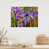 Hosta Paars Flower Garden Poster (Keuken)