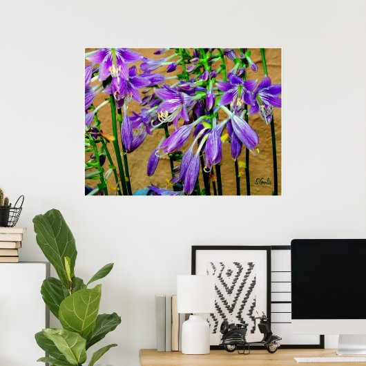 Hosta Paars Flower Garden Poster (Thuiskantoor)