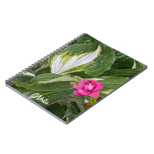 Hosta Plant en Roze Azalea Bloemen Notitieboek (Linkerzijde)