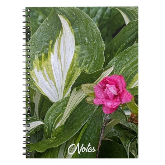 Hosta Plant en Roze Azalea Bloemen Notitieboek (Voorkant)