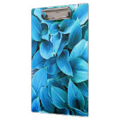 Hosta Plant Klembord (Links)